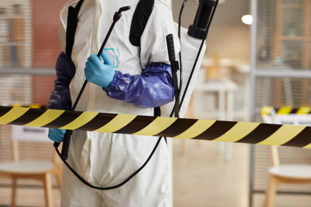 Professional Sewage Cleanup technician working in Belding, MI